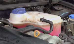 Can I Put Antifreeze in My Engine Coolant