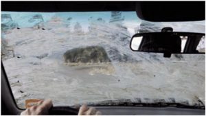Read more about the article Windshield Wiper Fluid Not Coming Out