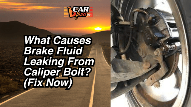 What Causes Brake Fluid Leaking From Caliper Bolt?(Fix Now)